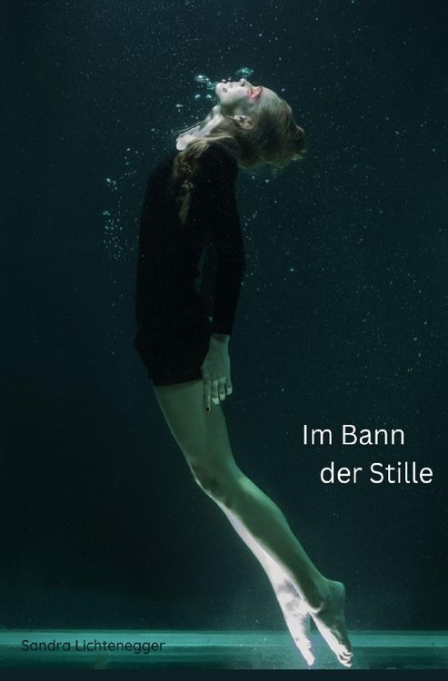 Produktbild: Im Bann der Stille