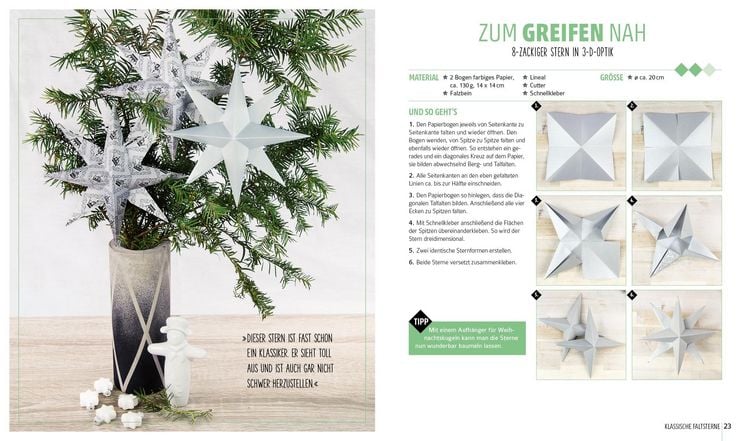 Produktbild: Weihnachtssterne? Gerne!