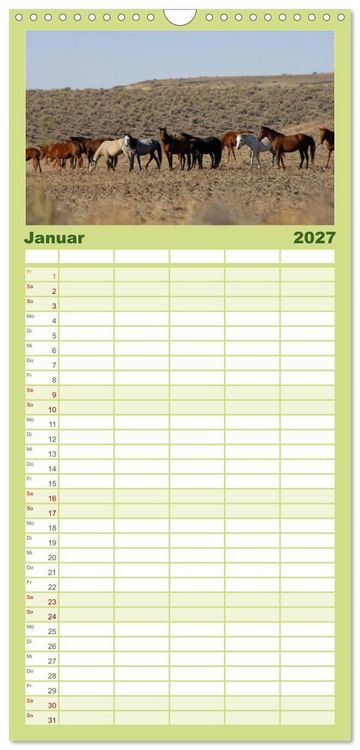 Produktbild: Familienplaner 2027 - Wilde Pferde &bull; Mustangs in USA mit 5 Spalten (Wandkalender, 21 x 45 cm) CALVENDO