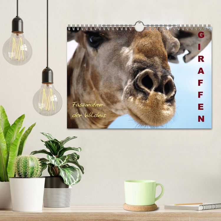 Produktbild: Giraffen &ndash; Faszination der Wildnis (Wandkalender 2026 DIN A4 quer), CALVENDO Monatskalender
