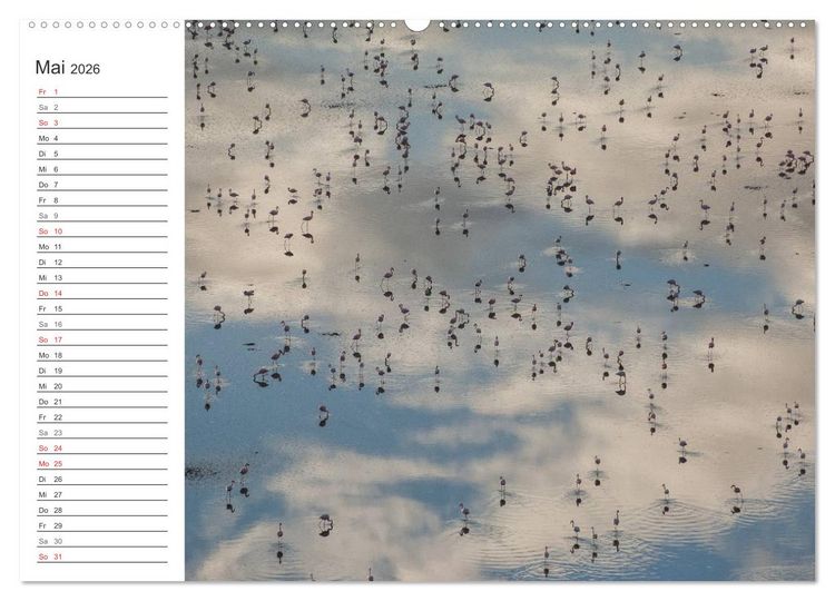Produktbild: Emotionale Momente: Mein wildes Afrika (Wandkalender 2026 DIN A2 quer), CALVENDO Monatskalender