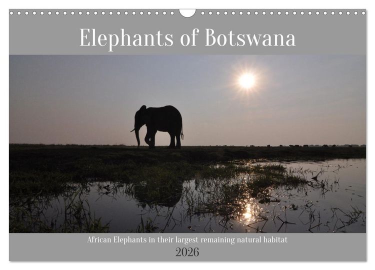 Produktbild: Elephants of Botswana (Wall Calendar 2026 DIN A3 landscape), CALVENDO 12 Month Wall Calendar