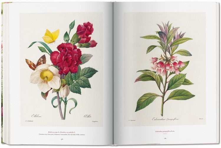 Produktbild: Redout&eacute;. The Book of Flowers
