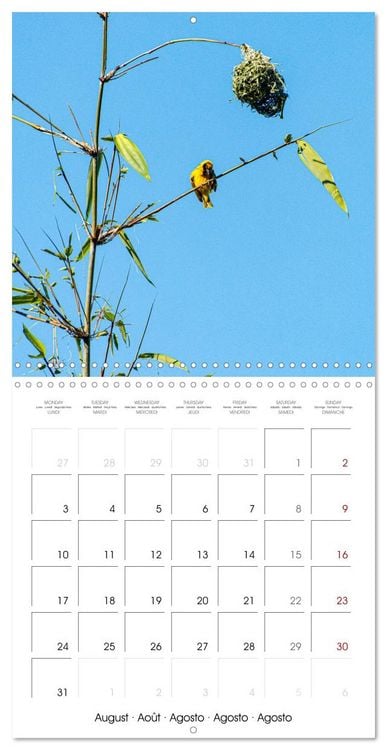 Produktbild: L'ile de la R&eacute;union, un volcan au milieu de l'oc&eacute;an Indien (Calendrier mural carr&eacute; 2026 30x30 cm) Calendrier double avec une page pour vos prises de notes