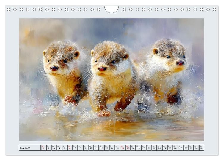Produktbild: Otter. Verspielte Abenteurer am Wasser (Wandkalender 2027 DIN A4 quer), CALVENDO Monatskalender