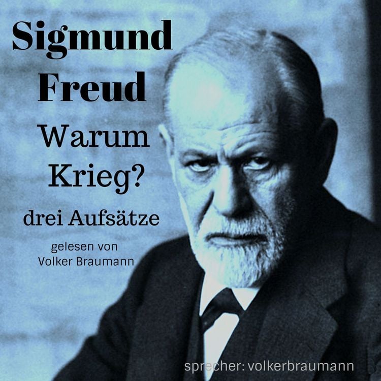 Produktbild: Warum Krieg?