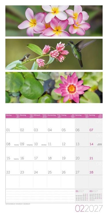 Produktbild: Colours of Nature Kalender 2027 - 30x30 - Art12