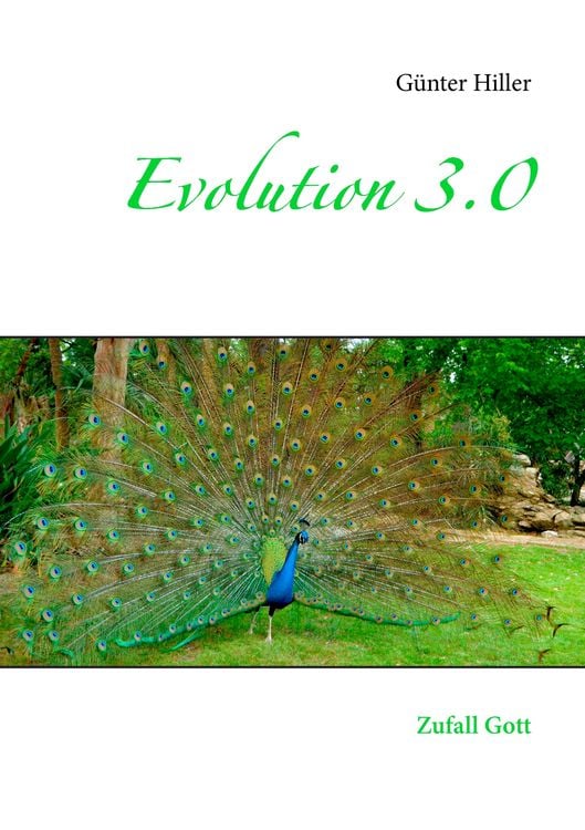 Produktbild: Evolution 3.0
