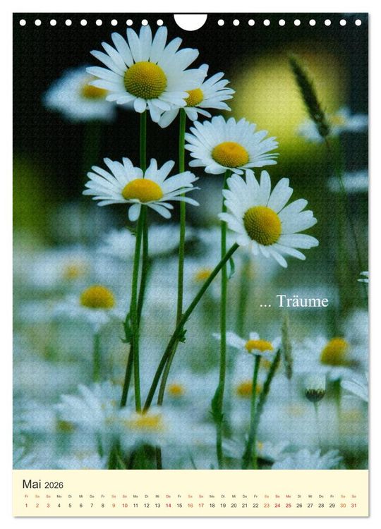 Produktbild: flowers (Wandkalender 2026 DIN A4 hoch), CALVENDO Monatskalender