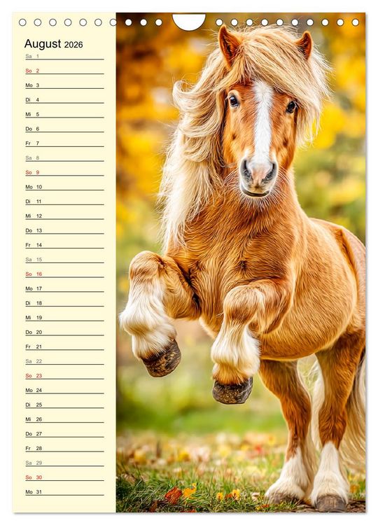 Produktbild: Zauber der Ponys. Kleine Pferde in der Natur (Wandkalender 2026 DIN A4 hoch), CALVENDO Monatskalender