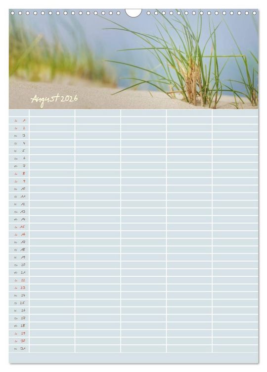 Produktbild: Kleine Sand-Sch&ouml;nheiten / Familienplaner (Wandkalender 2026 DIN A3 hoch), CALVENDO Monatskalender