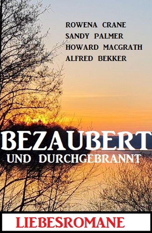 Produktbild: Bezaubert und durchgebrannt: Liebesromane