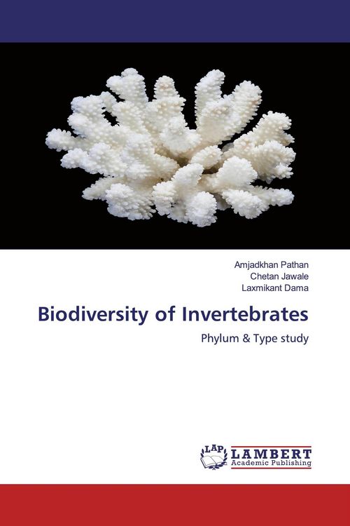 Produktbild: Biodiversity of Invertebrates