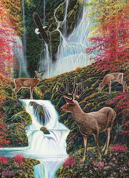 Produktbild: COBBLE HILL PUZZLES - Mystischer Wald 500 Teile