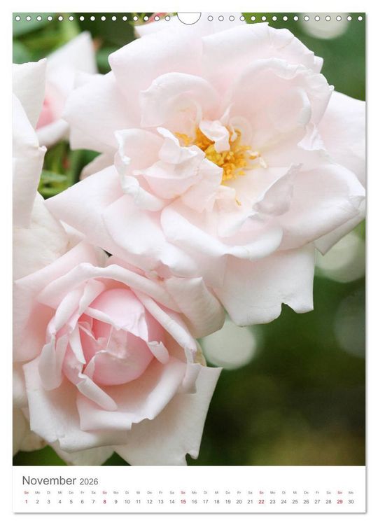 Produktbild: Gl&uuml;cklich mit Rosen (Wandkalender 2026 DIN A3 hoch), CALVENDO Monatskalender