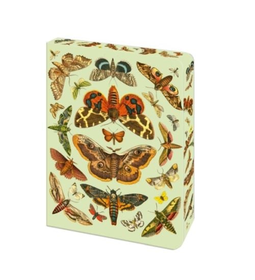 Produktbild: Arcturus Publishing Limited: Moth Journal