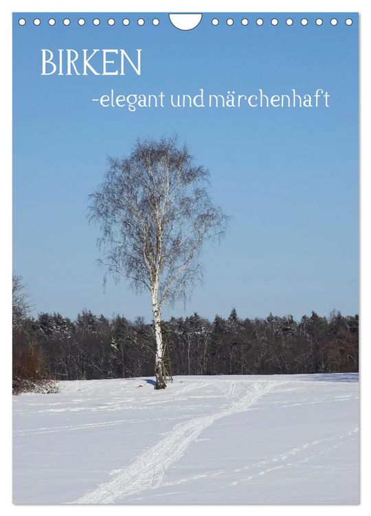Produktbild: Birken - elegant und m&auml;rchenhaft (Wandkalender 2026 DIN A4 hoch), CALVENDO Monatskalender