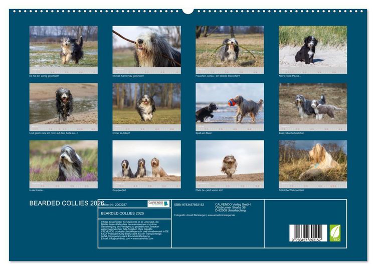 Produktbild: BEARDED COLLIES 2026 (hochwertiger Premium Wandkalender 2026 DIN A2 quer), Kunstdruck in Hochglanz
