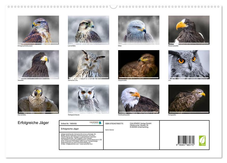 Produktbild: Erfolgreiche J&auml;ger (hochwertiger Premium Wandkalender 2026 DIN A2 quer), Kunstdruck in Hochglanz