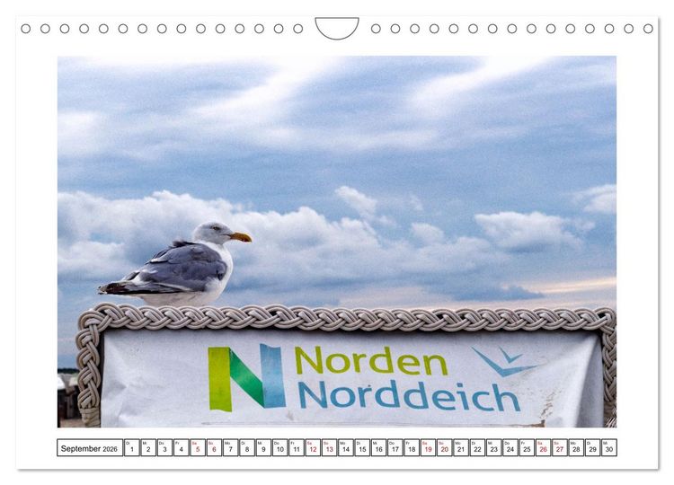Produktbild: Verliebt in Norddeich (Wandkalender 2026 DIN A4 quer), CALVENDO Monatskalender