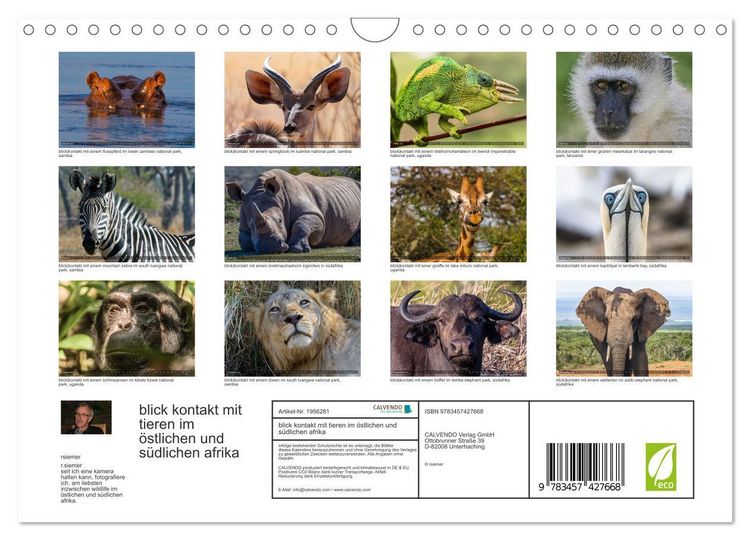 Produktbild: blick kontakt mit tieren im &ouml;stlichen und s&uuml;dlichen afrika (Wandkalender 2026 DIN A4 quer), CALVENDO Monatskalender