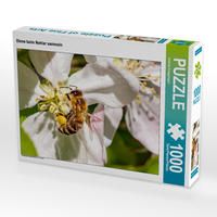 Produktbild: CALVENDO Puzzle Biene beim Nektar sammeln | 1000 Teile Lege-Gr&ouml;&szlig;e 64x48cm Foto-Puzzle f&uuml;r gl&uuml;ckliche Stunden