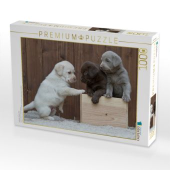 Produktbild: CALVENDO Puzzle Labrador Welpen Trio | 1000 Teile Lege-Gr&ouml;&szlig;e 64x48cm Foto-Puzzle f&uuml;r gl&uuml;ckliche Stunden