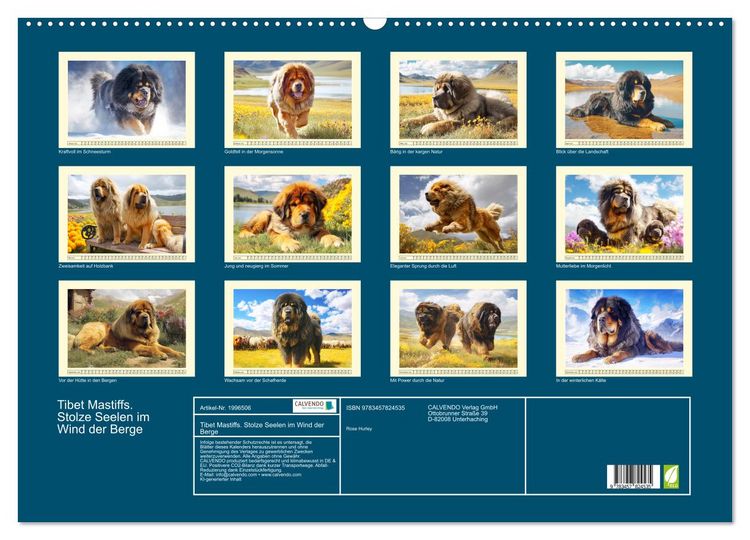 Produktbild: Tibet Mastiffs. Stolze Seelen im Wind der Berge (Wandkalender 2026 DIN A2 quer), CALVENDO Monatskalender
