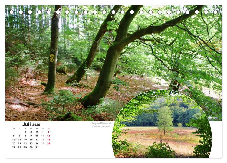 Produktbild: Der Grimmsteig (Tischkalender 2026 DIN A5 quer), CALVENDO Monatskalender