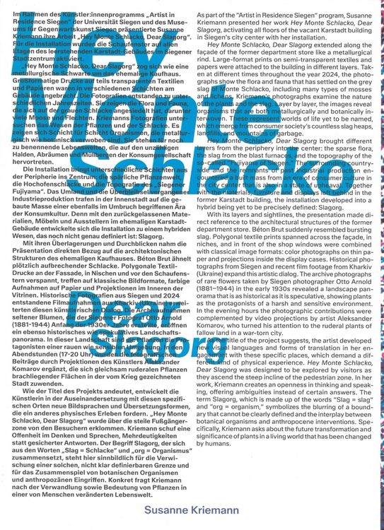 Produktbild: Susanne Kriemann: Hey Monte Schlacko / Dear Slagorg