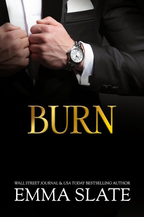 Produktbild: Burn (SINS Series, #6)