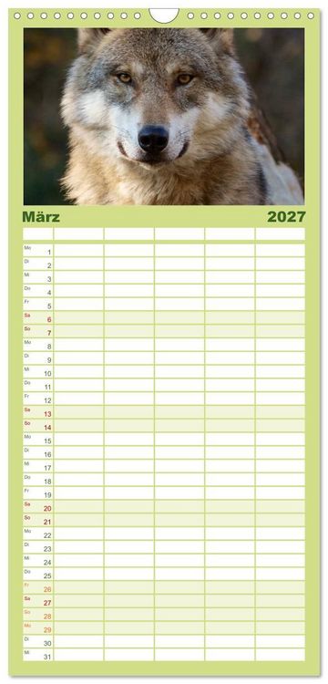 Produktbild: Familienplaner 2027 - W&ouml;lfe. Verwegene Anmut mit 5 Spalten (Wandkalender, 21 x 45 cm) CALVENDO