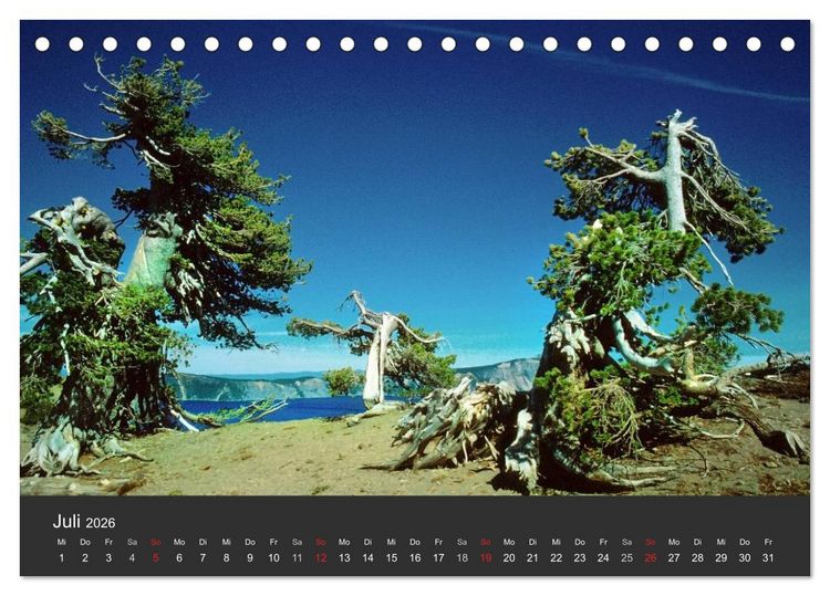 Produktbild: Alte B&auml;ume Alte Veteranen (Tischkalender 2026 DIN A5 quer), CALVENDO Monatskalender