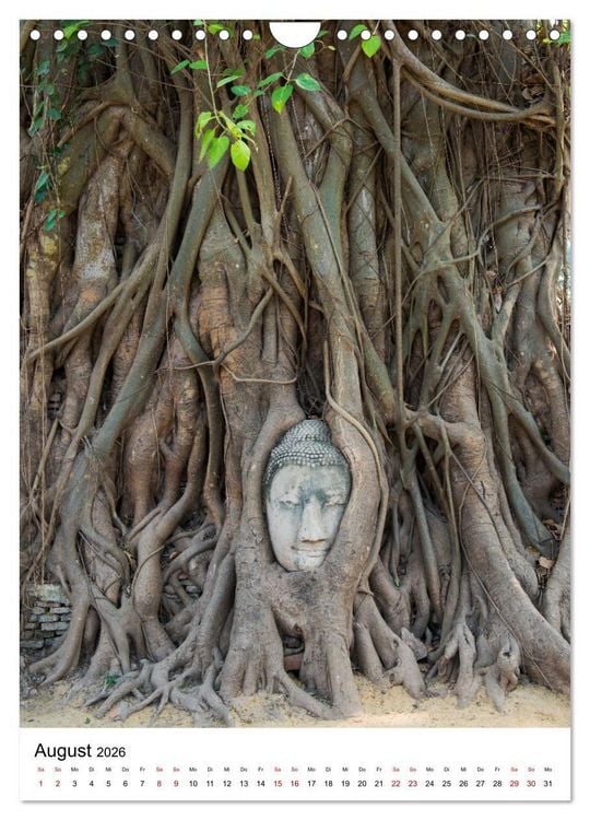 Produktbild: Buddhas im Gl&uuml;ck (Wandkalender 2026 DIN A4 hoch), CALVENDO Monatskalender