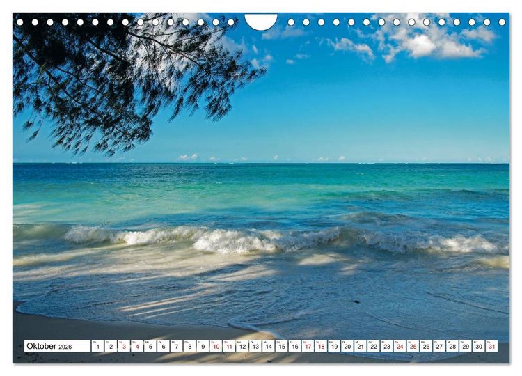 Produktbild: Die Gew&uuml;rzinsel Sansibar (Wandkalender 2026 DIN A4 quer), CALVENDO Monatskalender