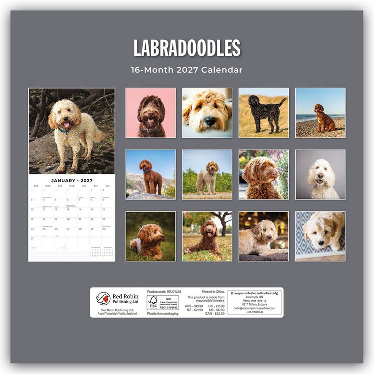 Produktbild: Labradoodles &ndash; Labradoodle 2027 &ndash; 16-Monatskalender