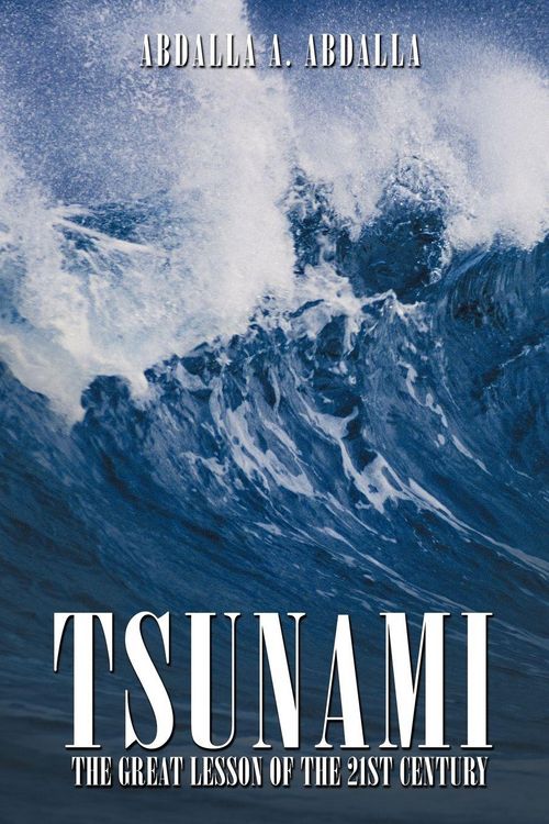 Produktbild: Tsunami the Great Lesson of the 21st Century