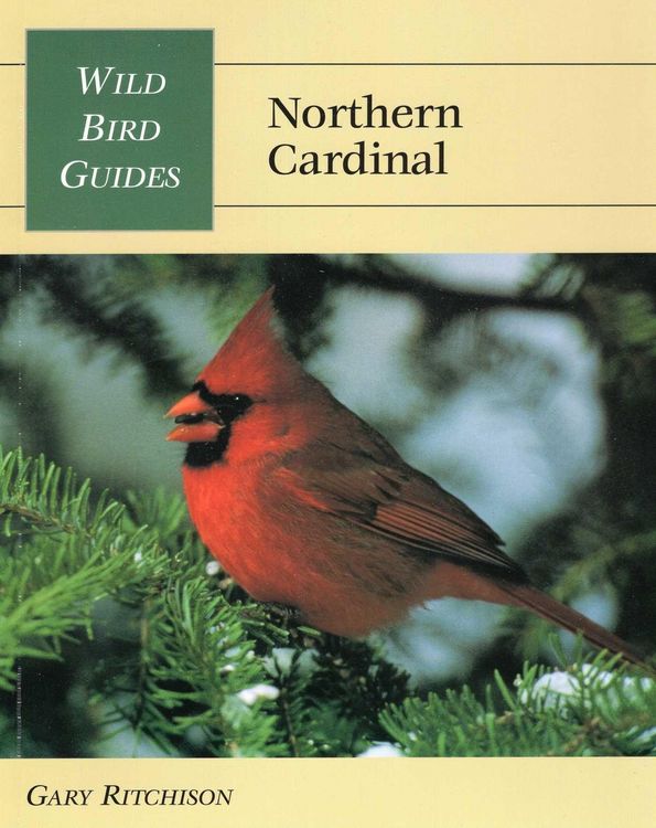 Produktbild: Wild Bird Guide