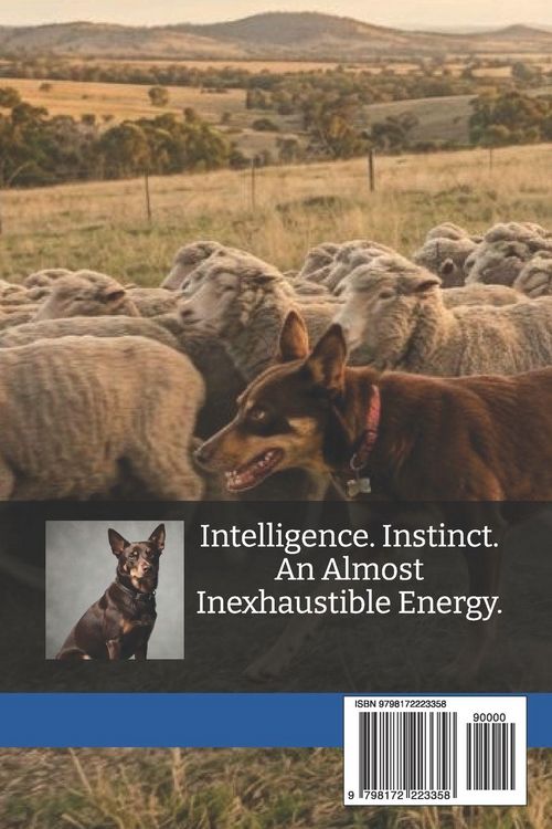 Produktbild: The Complete Australian Kelpie Guide
