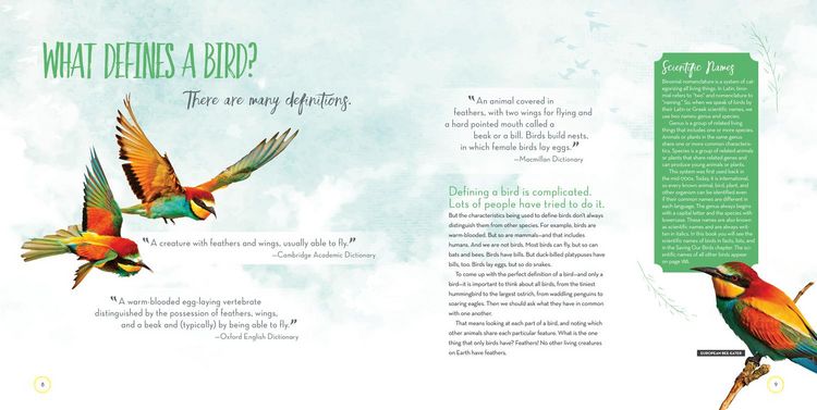 Produktbild: Fly with Me
