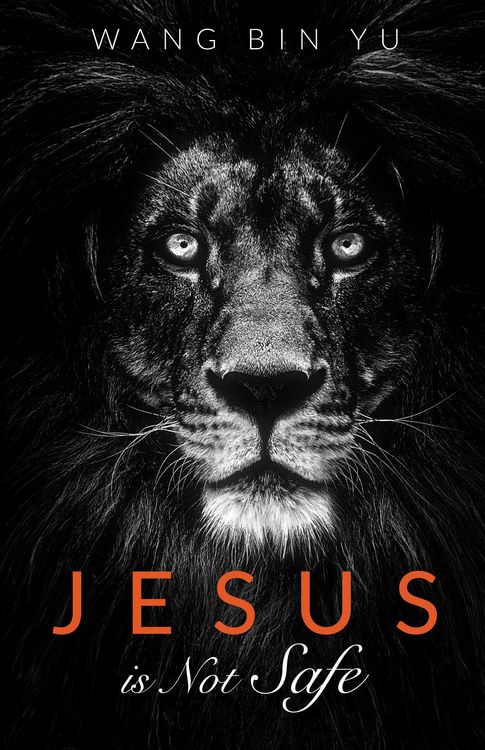 Produktbild: Jesus is Not Safe