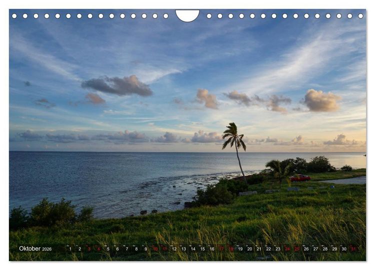 Produktbild: Florida - Sunshine State (Wandkalender 2026 DIN A4 quer), CALVENDO Monatskalender