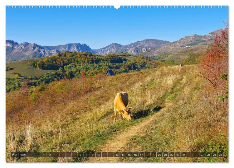 Produktbild: TransApuseni - Sch&ouml;nste Panoramastra&szlig;e in Siebenb&uuml;rgen (Wandkalender 2026 DIN A2 quer), CALVENDO Monatskalender