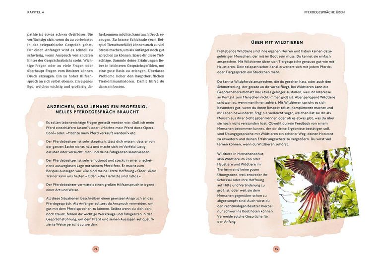 Produktbild: Gespr&auml;che mit deinem Pferd