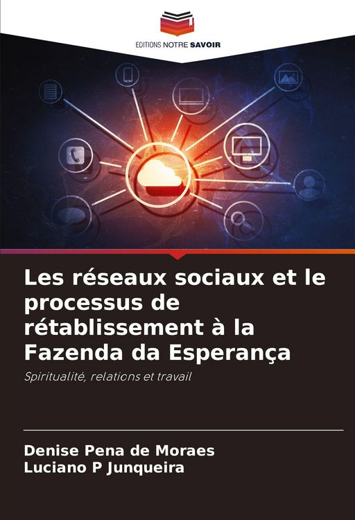 Produktbild: Les r&eacute;seaux sociaux et le processus de r&eacute;tablissement &agrave; la Fazenda da Esperan&ccedil;a