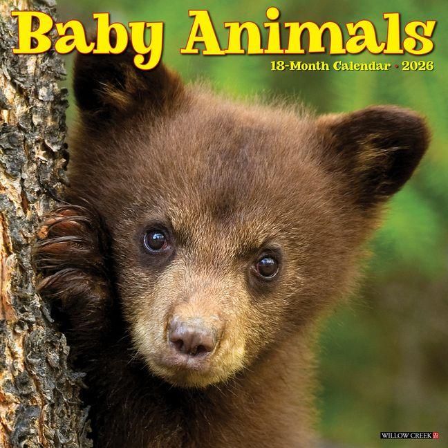 Produktbild: Baby Animals 2026 Wall Calendar