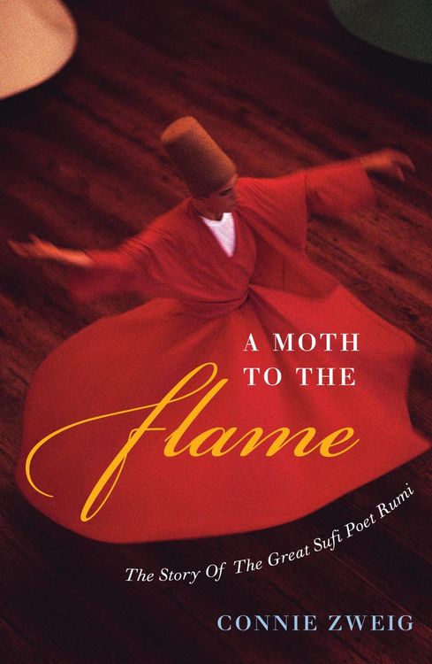 Produktbild: Zweig, C: Moth to the Flame