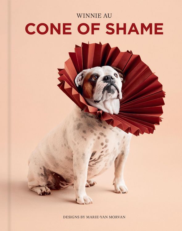 Produktbild: Cone of Shame
