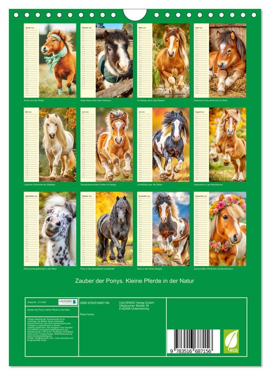 Produktbild: Zauber der Ponys. Kleine Pferde in der Natur (Wandkalender 2026 DIN A4 hoch), CALVENDO Monatskalender