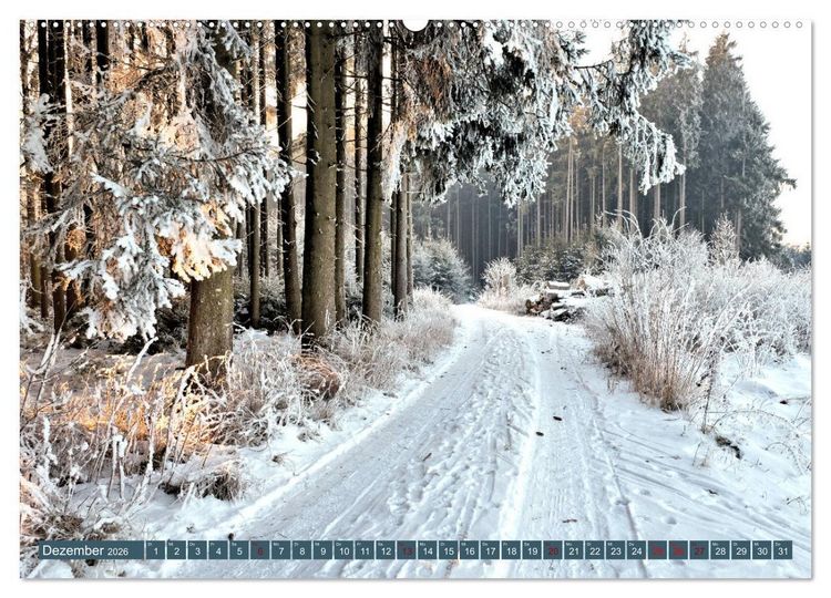 Produktbild: Wiesen W&auml;lder Weiher. Der Naturpark Augsburg-Westliche W&auml;lder (hochwertiger Premium Wandkalender 2026 DIN A2 quer), Kunstdruck in Hochglanz